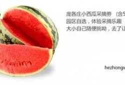 娱乐吃瓜封面怎么做,如何捕捉热点瞬间，引爆网络热议