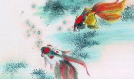 娱乐吃瓜酱飞鸟与鱼